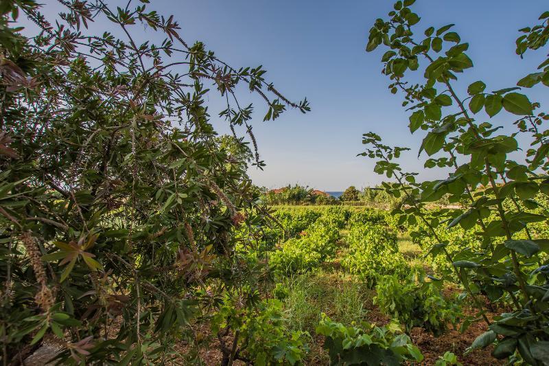 Porto Giardino Apartments Psarou  Zewnętrze zdjęcie