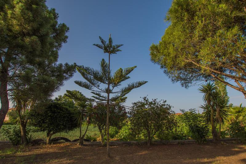 Porto Giardino Apartments Psarou  Zewnętrze zdjęcie